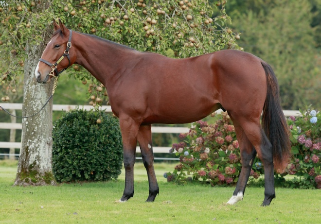 Alex (Expert Eye x Popular)