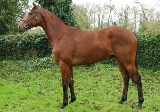 Reacher Reachforthestars ex Mondialiste