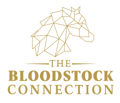 Bloodstock_Connection_logo_1.png